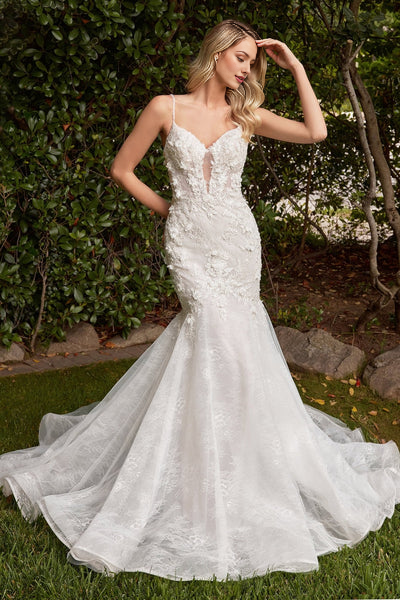 Lace deep V-lock neckline layered lace mermaid wedding dress